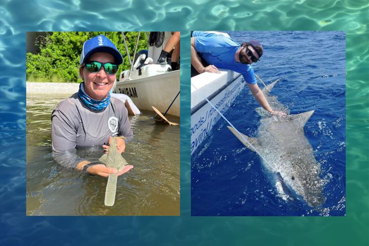 Guy Harvey Fellowship Recipients